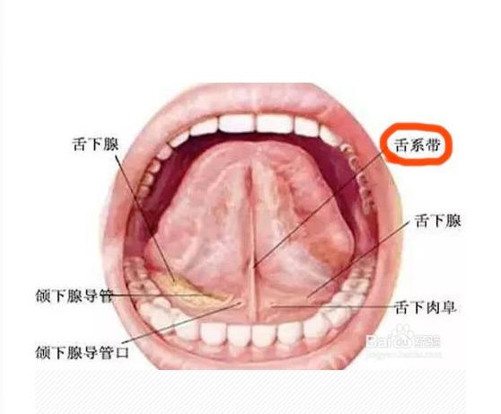 2025新澳门正版免费挂牌灯牌和舌根和牙龈被缝一起与舌根和牙龈被缝一起怎么办