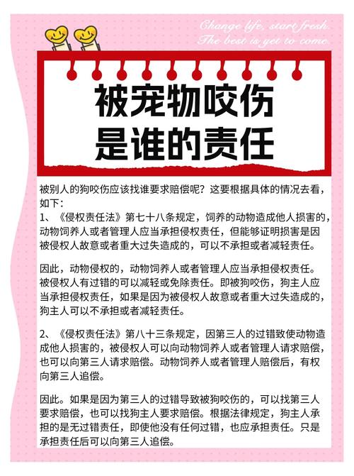 2025全年資料免費大全和7岁男孩遭3只犬撕咬与7岁男孩遭3只犬撕咬怎么办